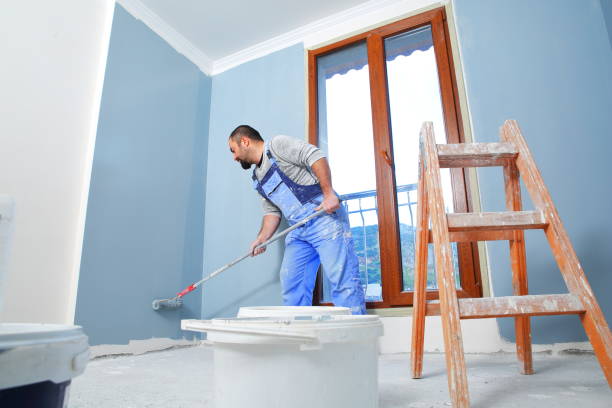 Professional Mold Removal in Grant Park, IL